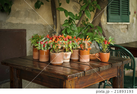 Some pots of red peppers on a wooden table in a co Some pots of red peppers on a wooden table in a co 21893193