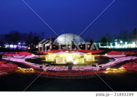 とっとり花回廊 とっとり花回廊 21893289