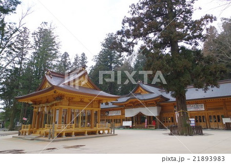 信州　安曇野　穂高神社　境内横　安曇野観光の中心的存在　古代海洋民族の安曇族が創始した神社 21893983