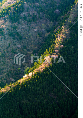 春のナメゴ谷 21894363