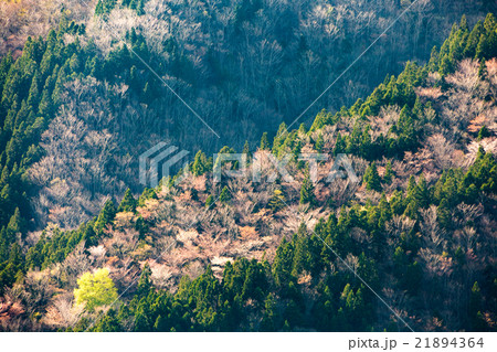 春のナメゴ谷 21894364