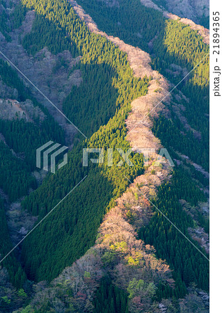 春のナメゴ谷 春のナメゴ谷 21894365