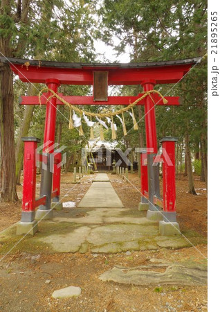 信州　松本の文化財　小俣諏訪神社　鳥居参道縦　江戸時代の諏訪大隅流の彫刻が圧巻　名匠柴宮矩重作 21895265