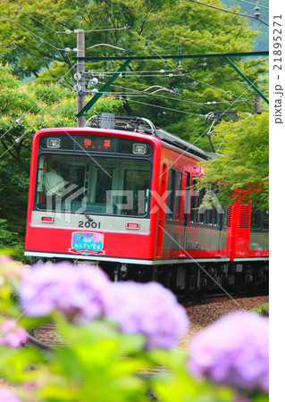 梅雨の時期の新緑を行く 21895271