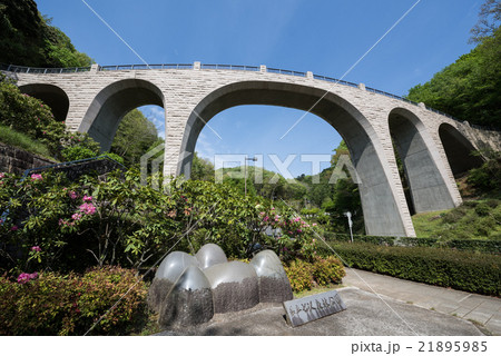 七沢森林公園の森のかけはし 21895985