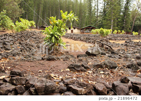 ハワイ　パワースポット　ケアイヴァ・ヘイアウ 21896472