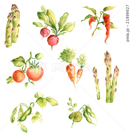 野菜パーツ01のイラスト素材