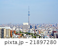東京スカイツリー 21897280