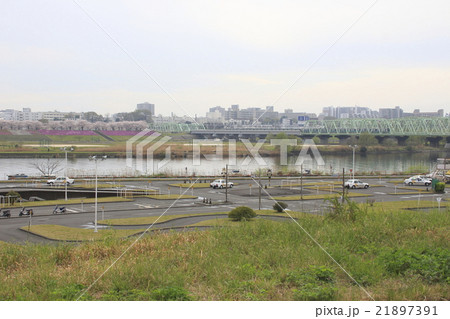 春の荒川赤羽桜堤緑地の芝桜と桜 21897391