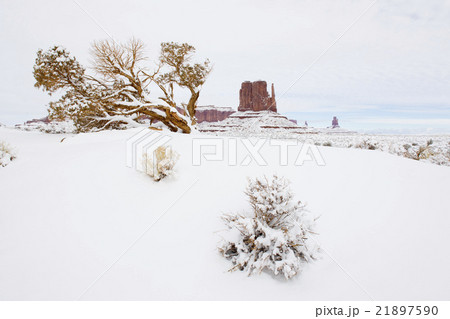 Mitten, Monument Valley NP, Utah-Arizona, USA 21897590