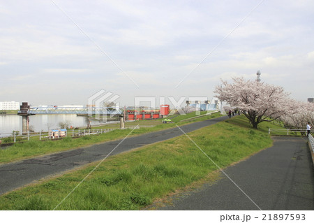 荒川土手と岩淵水門 21897593