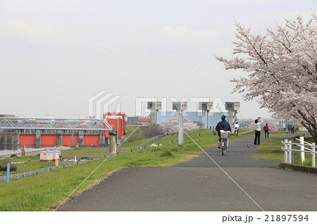 荒川土手と岩淵水門 21897594