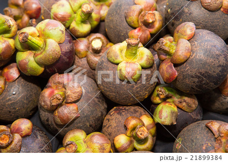 Mangosteen Mangosteen 21899384