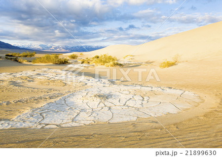 Stovepipe Wells sand dunes, Death Valley NP, USA 21899630
