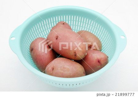 紅じゃがいも 21899777