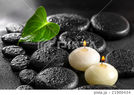 beautiful spa concept of green leaf Calla lily  21900434