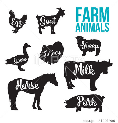 Black animal circuit with product inscription Black animal circuit with product inscription 21901906