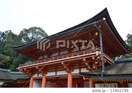 春日大社の中門･御廊（奈良県奈良市春日野町） 21902296