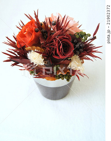 シックな薔薇の寄せ植え（プリザーブドフラワー） 21902372