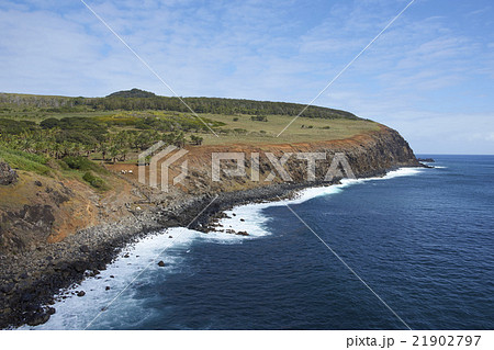 Coast of Easter Island 21902797