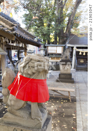 名古屋四間道 浅間神社の狛犬 21903047