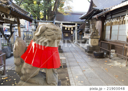 名古屋四間道 浅間神社の狛犬 21903048