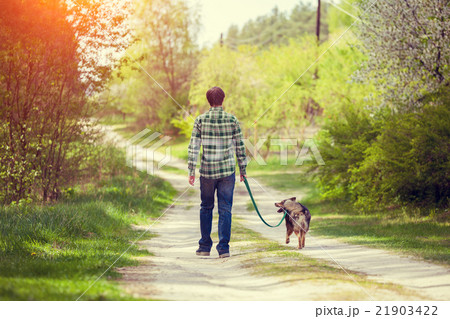 Young man walking with a dog in the village 21903422