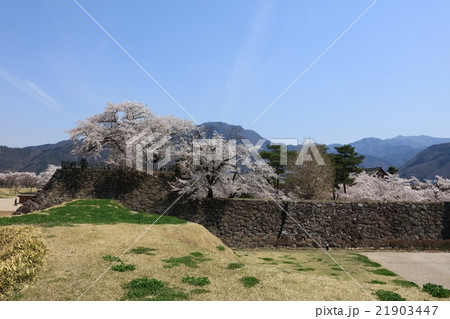 松代城の春 21903447