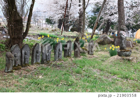 稲泉寺石仏 21903558