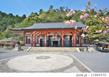 八重桜咲く鞍馬寺 21904470