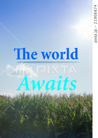 The world awaits inspirational quote 21906874