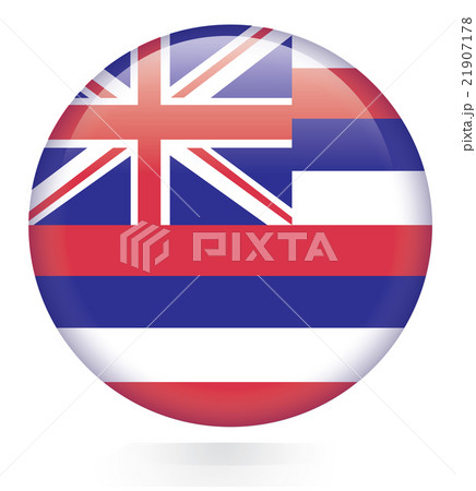 Hawaii flag button 21907178