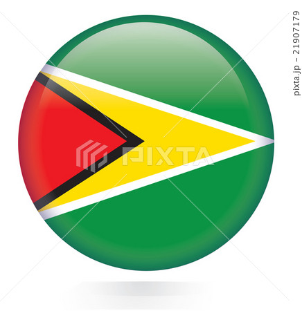 Guyana flag button 21907179
