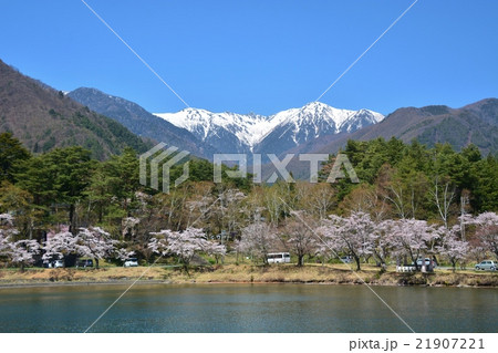 大沼湖の桜と駒ケ岳 21907221