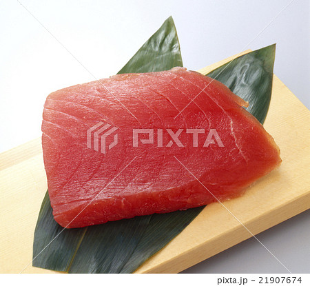 マグロ切り身 21907674