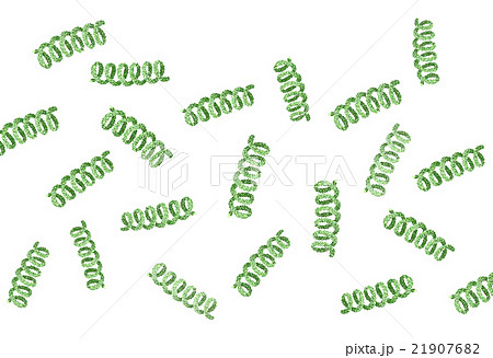 スピルリナ　イメージ素材 21907682