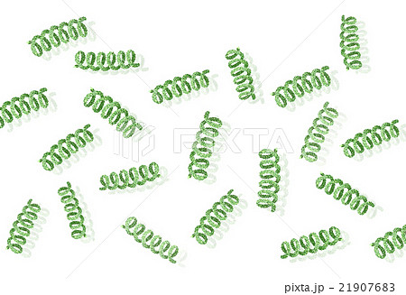 スピルリナ　イメージ素材　 21907683