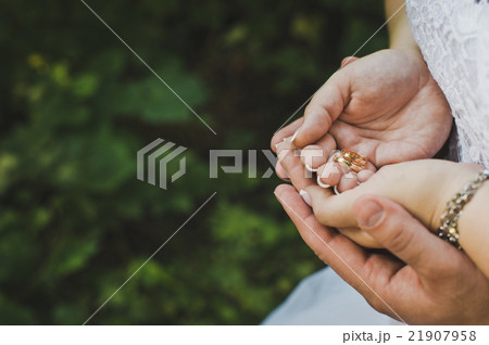 Hands with wedding rings 4341. Hands with wedding rings 4341. 21907958