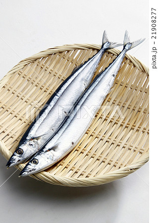 サンマ サンマ 21908277