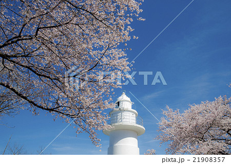 岩崎ノ鼻灯台 21908357