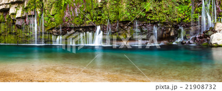 雄川の滝 21908732