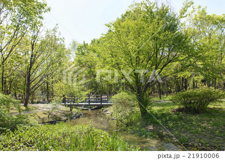 新緑の花博記念公園 21910006
