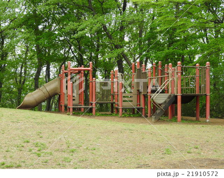 みなみ野の丘公園 21910572