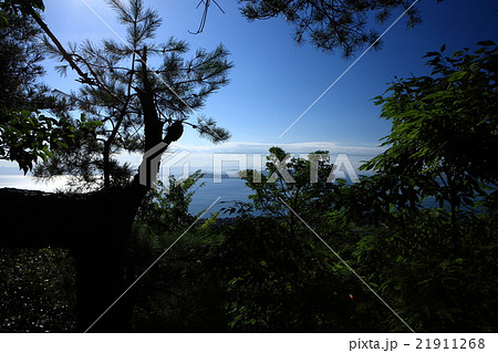 金ヶ崎城より 21911268