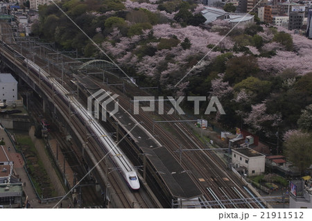 東北新幹線E2系 21911512