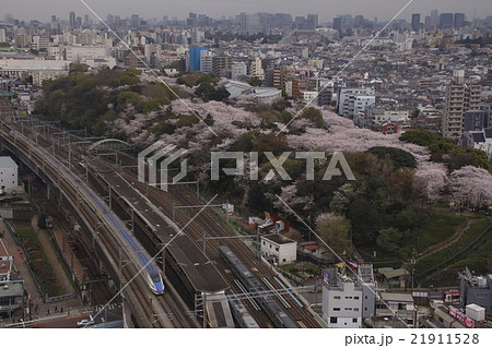 北陸新幹線E7系 21911528