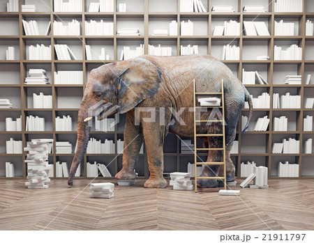 elephant  in the  library 21911797