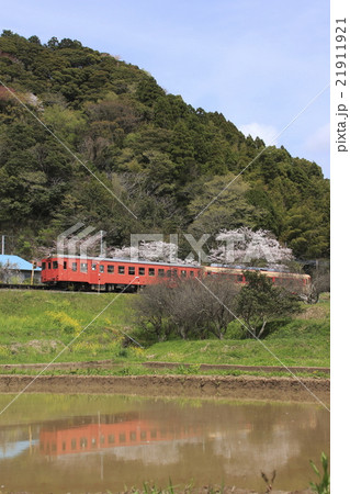 いすみ鉄道キハ52+キハ28列車と水鏡 いすみ鉄道キハ52+キハ28列車と水鏡 21911921