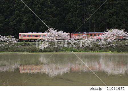 いすみ鉄道キハ52+キハ28列車と水鏡 21911922