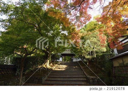 安楽寺　山門 21912078